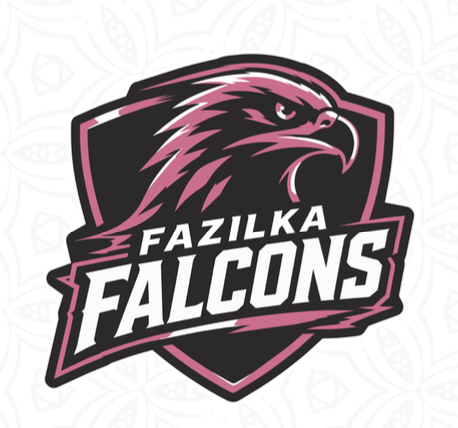 Fazilka Falcons logo